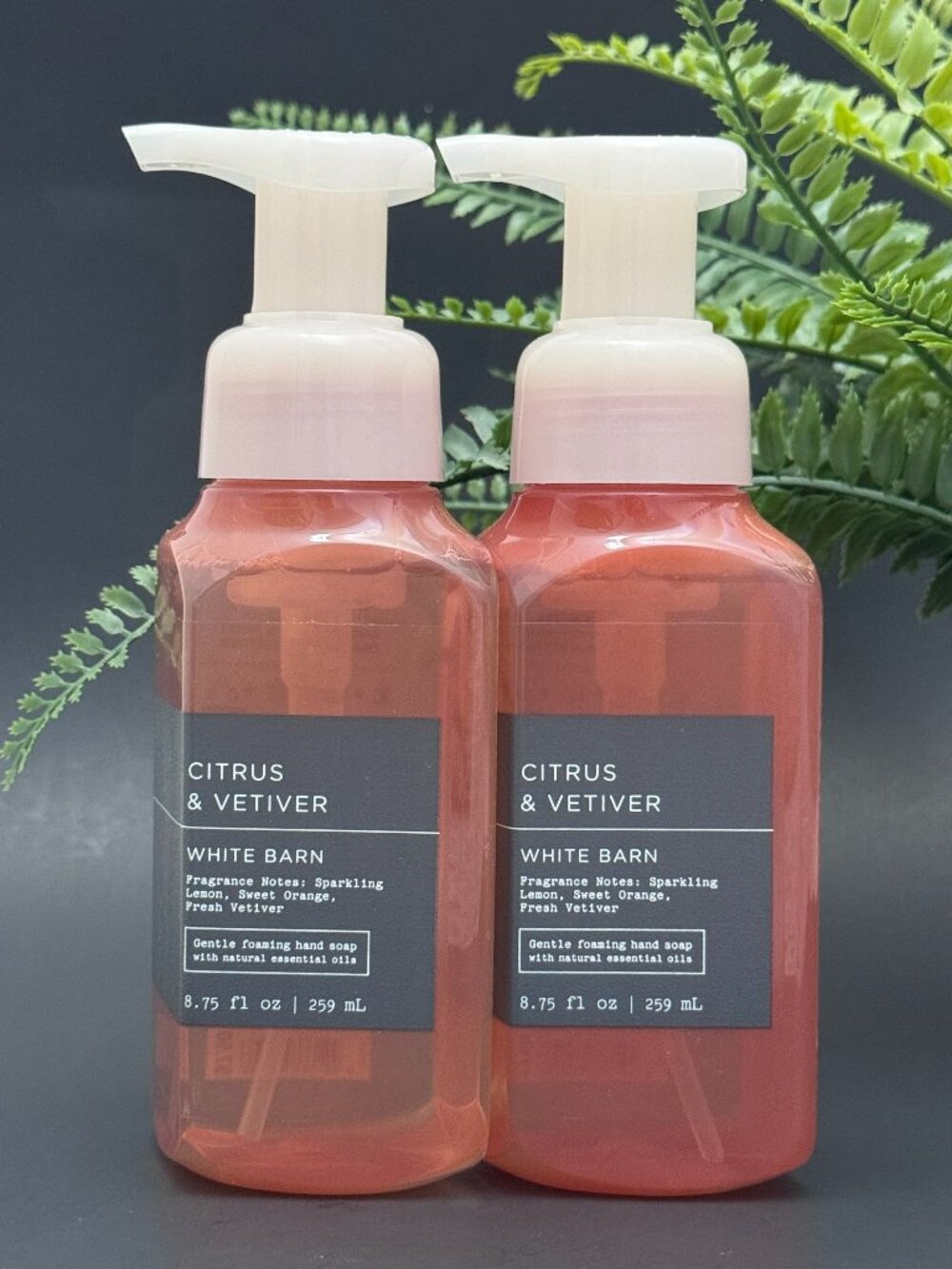 Bath & Body Works BBW White Barn Citrus & Vetiver Gentle Foaming Hand Soaps X 2